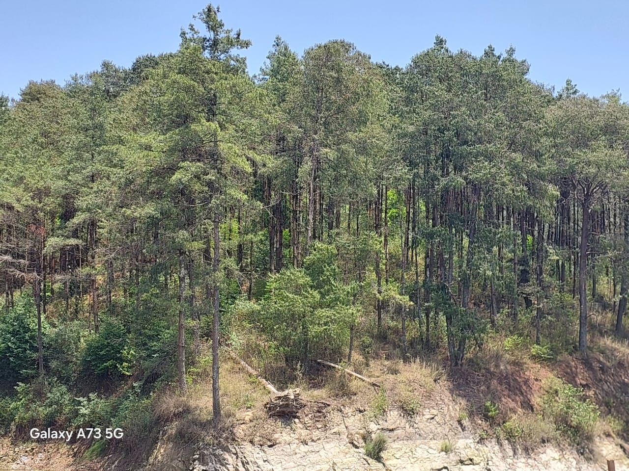 Climate Change Adaptation